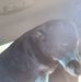 Rob Sutton - Facebook