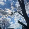 @robsutton333 - @robsutton661 - TikTok