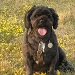 Rob Tanner - @robtanner68 - Instagram