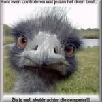 Rob Timmer - @robkt46 - Instagram