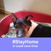 Rob Tracy Charlton - Facebook