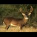Robert Trimble - Facebook