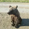 мой ник cvcvt57395275 в рб - @roblox_tyers - TikTok