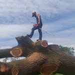 Rob Tyrrell - @rob_trigger_tyrrell - Instagram