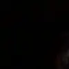🤥 - @robevalerio - TikTok