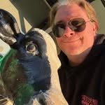 Rob Viney - @robviney - Instagram