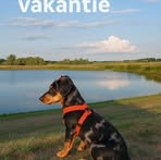 Rob Vos - Facebook