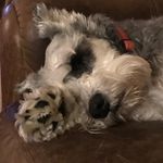 Rob Walters - @hashtagrobwalters - Instagram