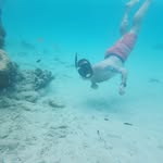 Rob Walton - @rob.walton.54 - Instagram