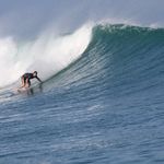 Rob Watt - @wattforde - Instagram