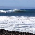 Rob Webb - @webby808 - Instagram