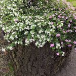 Rob.whelo09612 - @rob.whelan - Instagram
