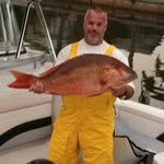 Rob Wilhoit - @robwilhoit - Instagram