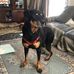 Rob Williams - Facebook
