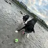 Rob wilson - @rob.wilson3 - TikTok
