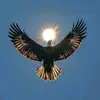 Robert B.wisdom - @robertwisdom700 - TikTok