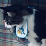 Rob Wisniewski - @ribsrib - Instagram