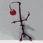 Robert Wiśniewski - @roberto.wisniewski - Instagram