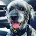 Rob Woodman - Facebook