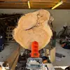 Robbothewoodman - @robbothewoodman - TikTok