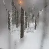 Robert Woodman - @robert.woodman6 - TikTok