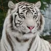 Robb Brown - @robb.brown2 - TikTok