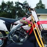 robb robertson - @robb___robertson - Instagram
