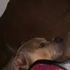 Robby - @robby.robertson - TikTok