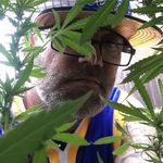 Robb Walker - @biaxialkitten88 - Instagram