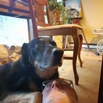 RobbtheBank - @robbwatson - Instagram