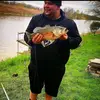 Robbie Barnes - @big_dane_daddie - TikTok
