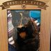 Robert Barnes - Facebook