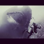 Robbie Barr - @rbarr219 - Instagram