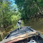 Robbie Beasley - @beasleyrobbie - Instagram