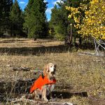 Robbie Becker - @robbiebecker9 - Instagram