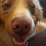 Robbie Becker - @existence_78 - Instagram