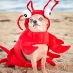 Robbie Bowman - @robbiebowman751 - Instagram