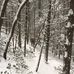 Robbie Brickey - Facebook