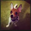 Robbie Cameron - @robbie.cameron38 - TikTok