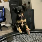 Robbie Casey - @robbiecaseypoker - Instagram