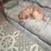 Robbie Chase - Facebook