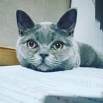 RobbieChen - @robbiechen1111 - Instagram