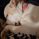 Robbie Coker - @lemonade_78 - Instagram