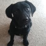 Robbie Corner - @robbie_corner03 - Instagram