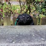 Robbie Currie - @robbie.currie - Instagram