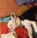 Robbie Dalton - Facebook