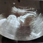 Robert Johnnie Dalton - @baby_robbie_dalton - Instagram