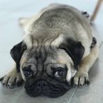 Robbie Davis - @robbiedavis118 - Instagram