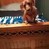 robbiedavis860 - @robbiedavis860 - TikTok