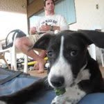 Robbie Douglas - @americas_fastest_sailors - Instagram